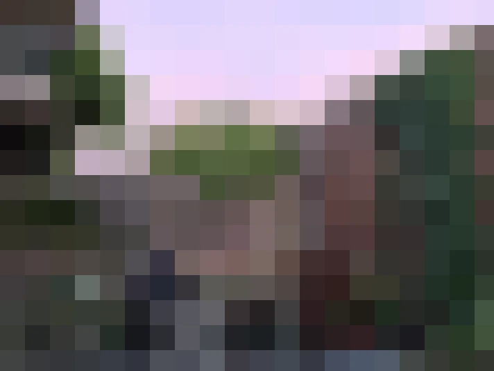 Image 25