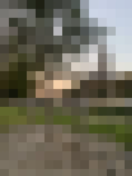Image 31