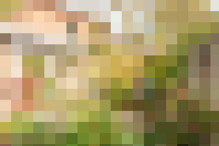 Image 23