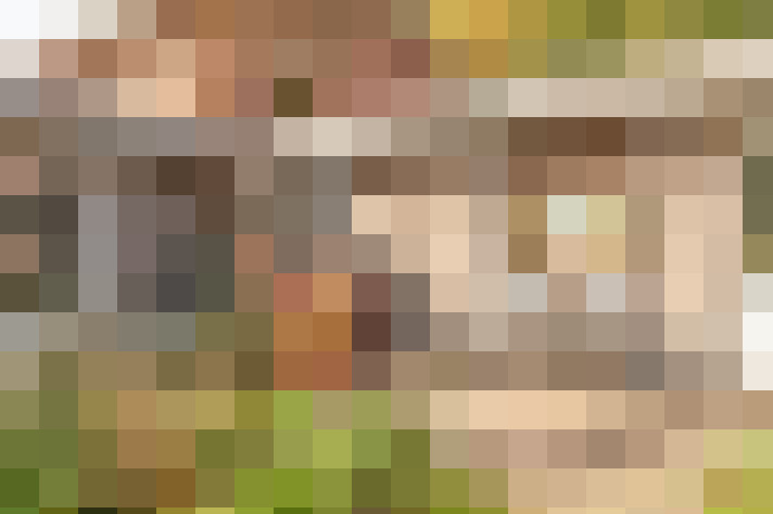 Image 25