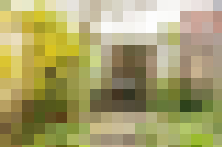 Image 24