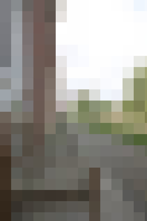 Image 25