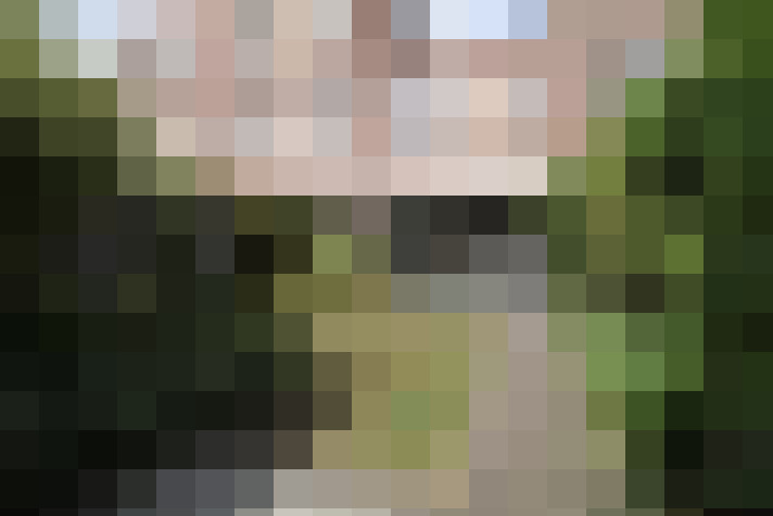 Image 31