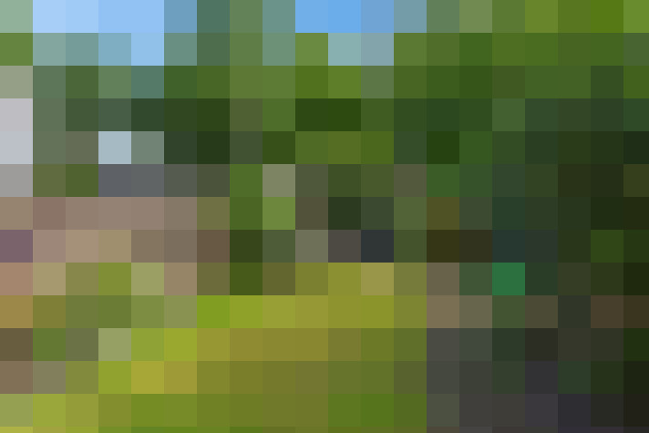 Image 17
