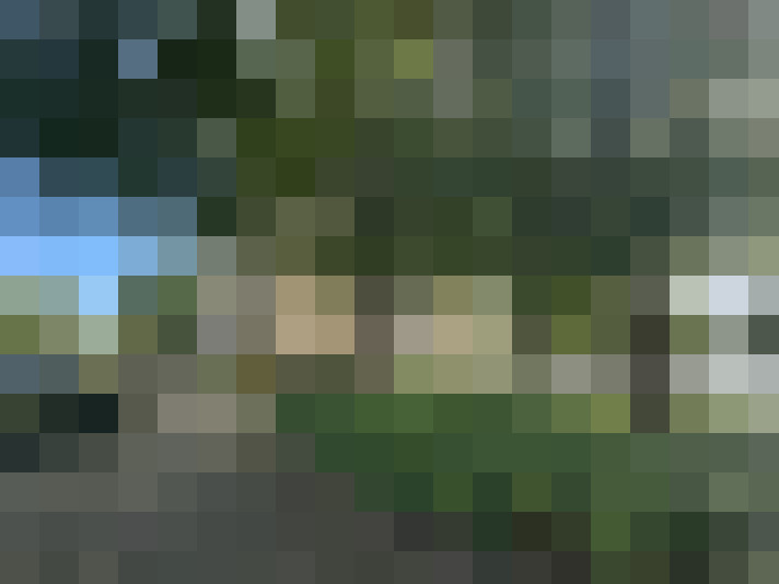 Image 20