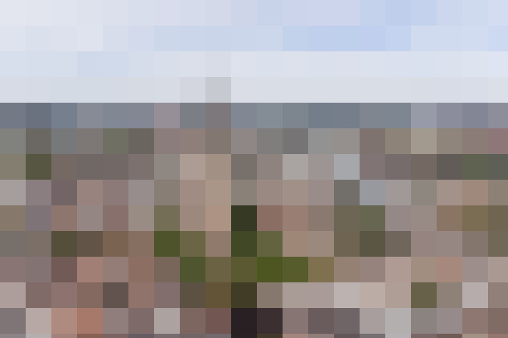 Image 22