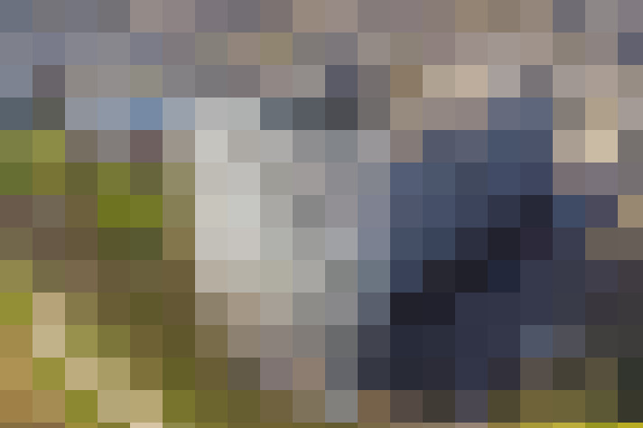 Image 17