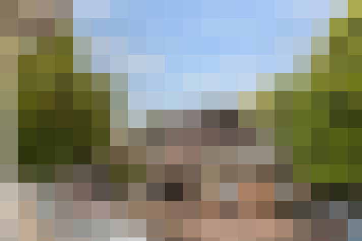 Image 24
