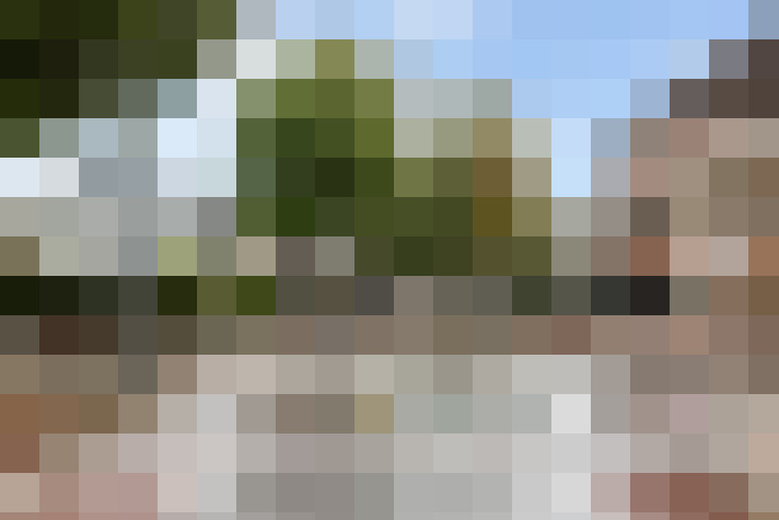 Image 25