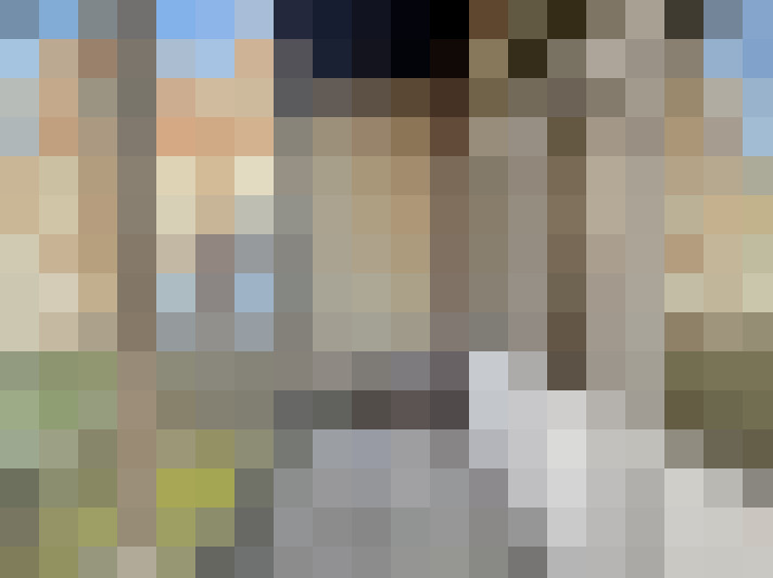 Image 17