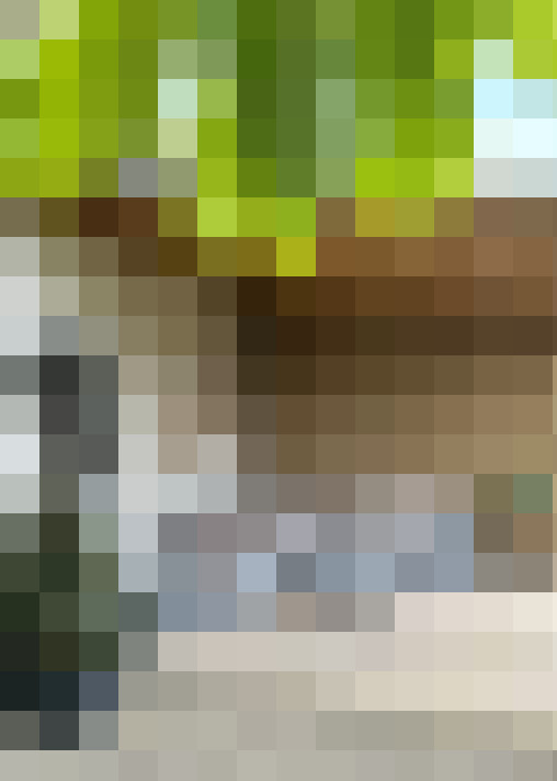  / #17