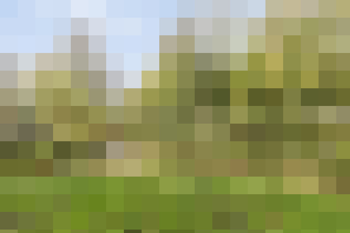 Image 29