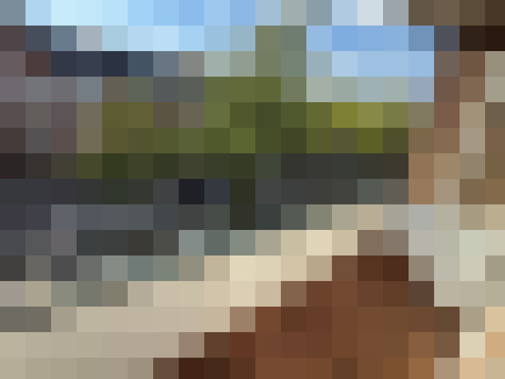 Image 15