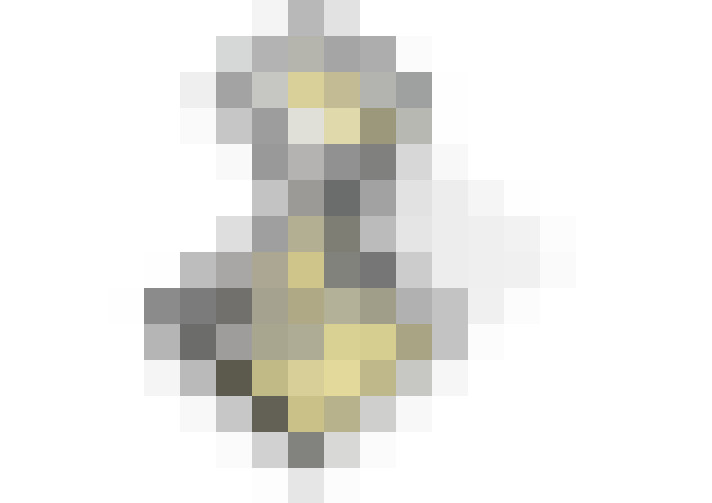 Image 32