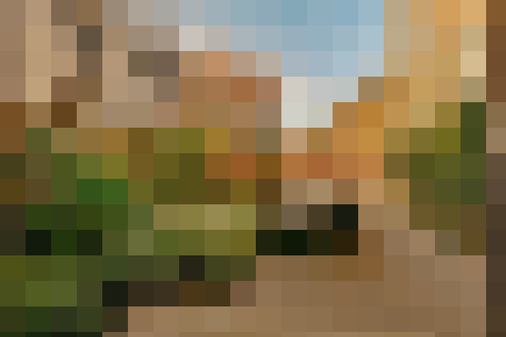 Image 36