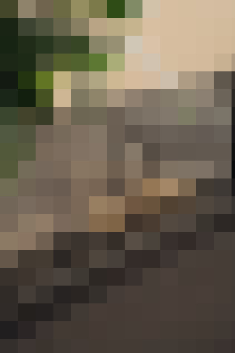 Image 14