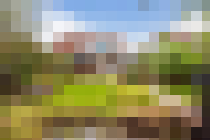 Image 33