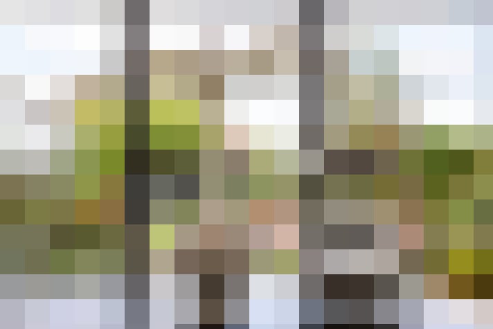 Image 17
