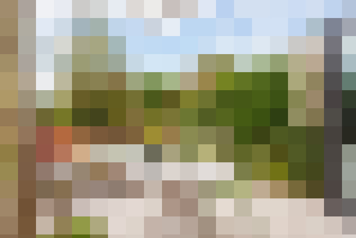 Image 35