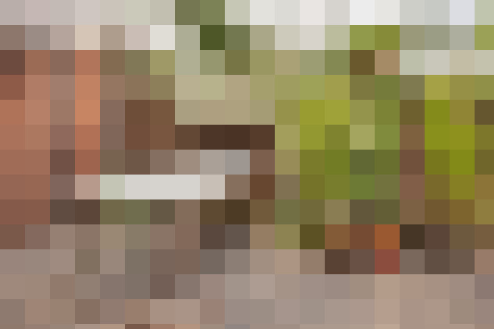 Image 39