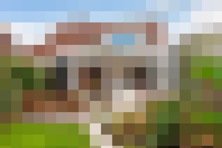 Image 34