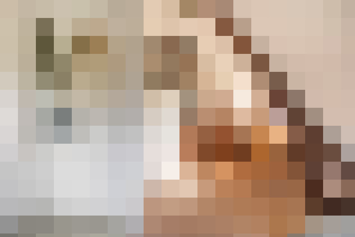 Image 28