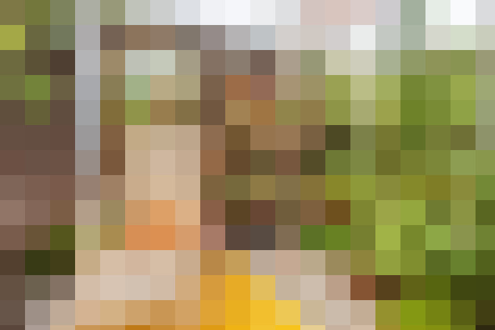 Image 38
