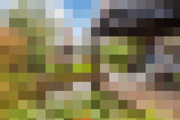 Image 36