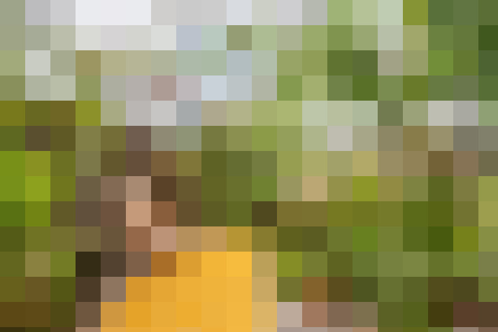 Image 37