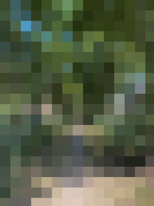 Image 26