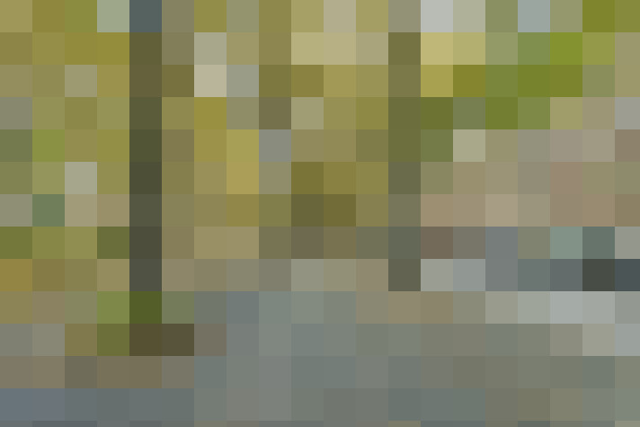 Image 22