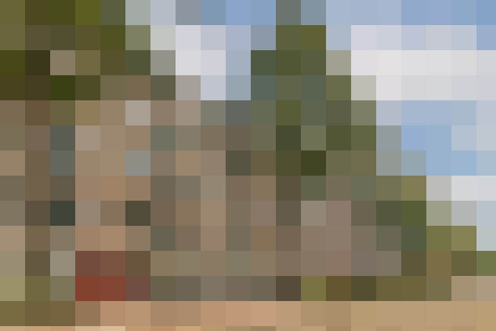 Image 22