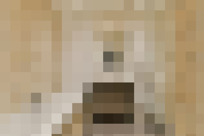 Image 16