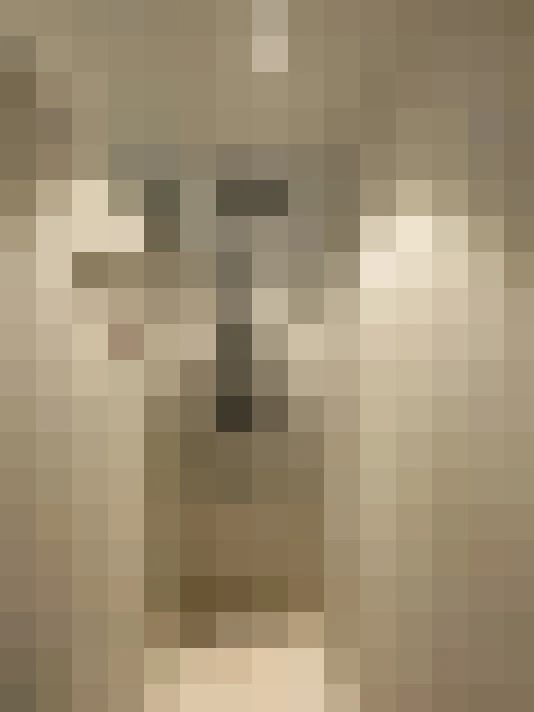 Image 17