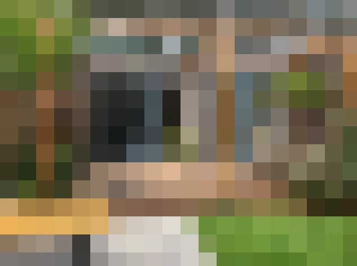 Image 18