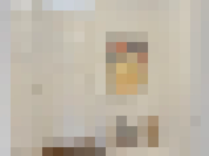 Image 44