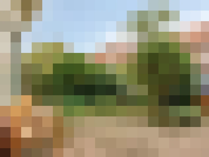 Image 36