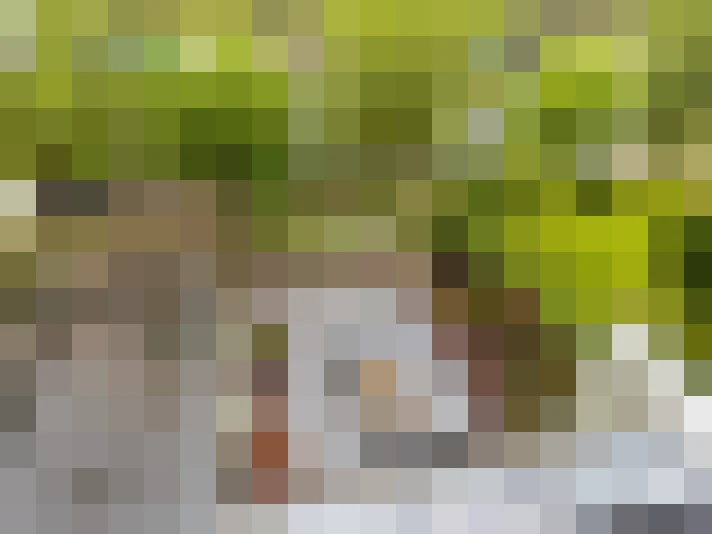 Image 31