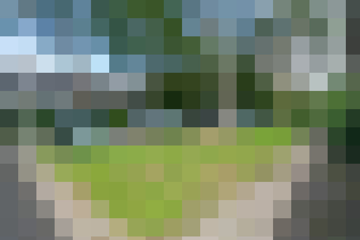 Image 15