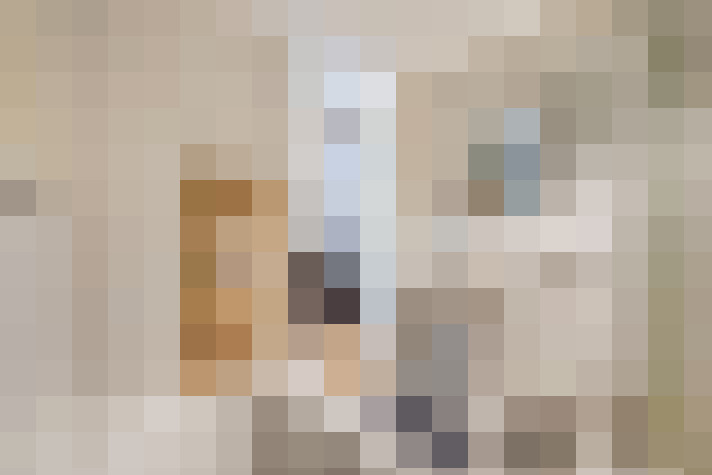 Image 35