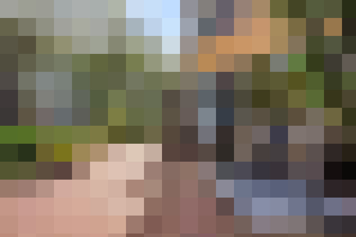 Image 23