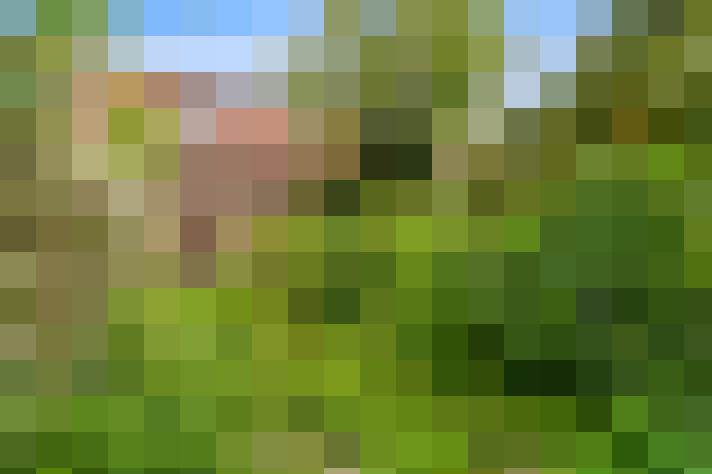 Image 20