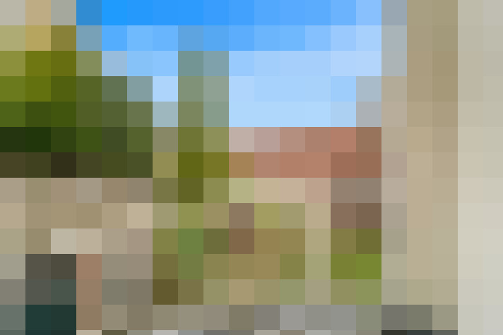 Image 29