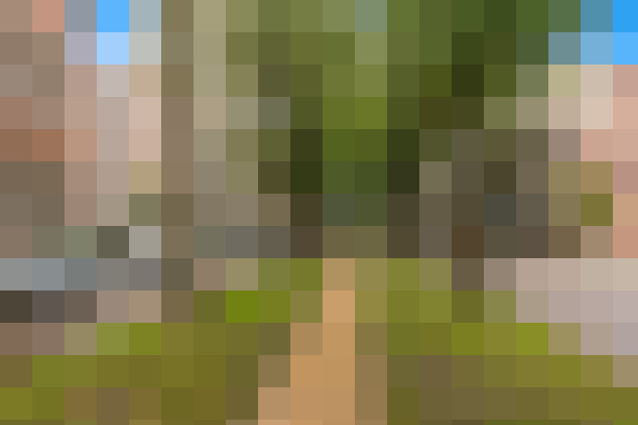 Image 47