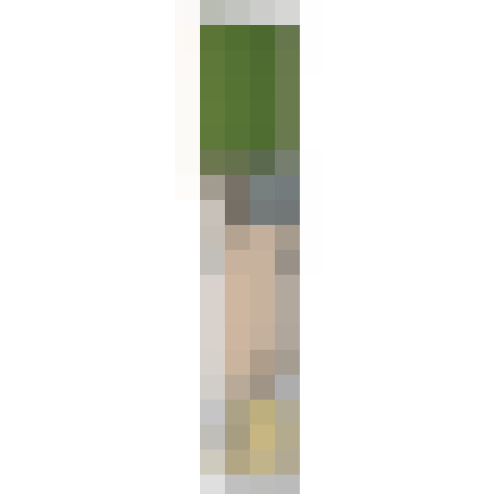 Image 53