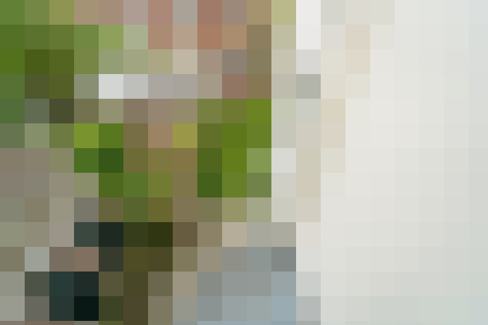 Image 39