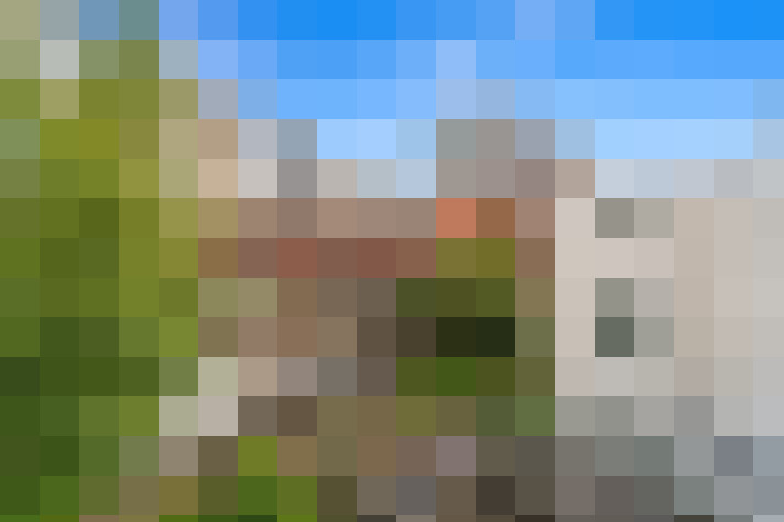 Image 35