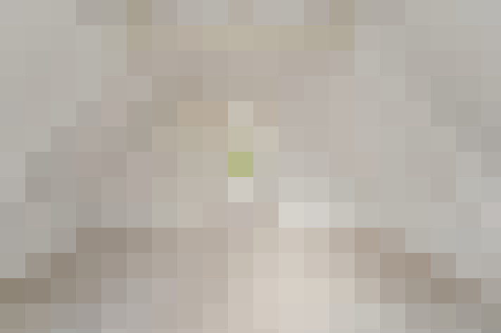 Image 29