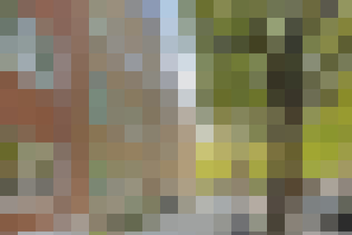 Image 29