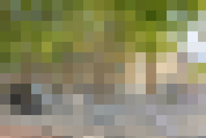 Image 28